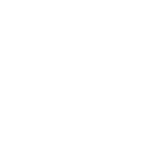 19prince